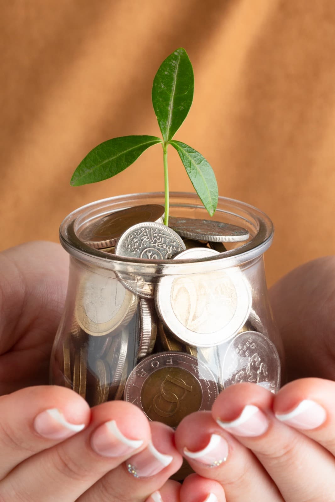 Hands nurturing a jar of coins with a growing plant — caring for client wealth