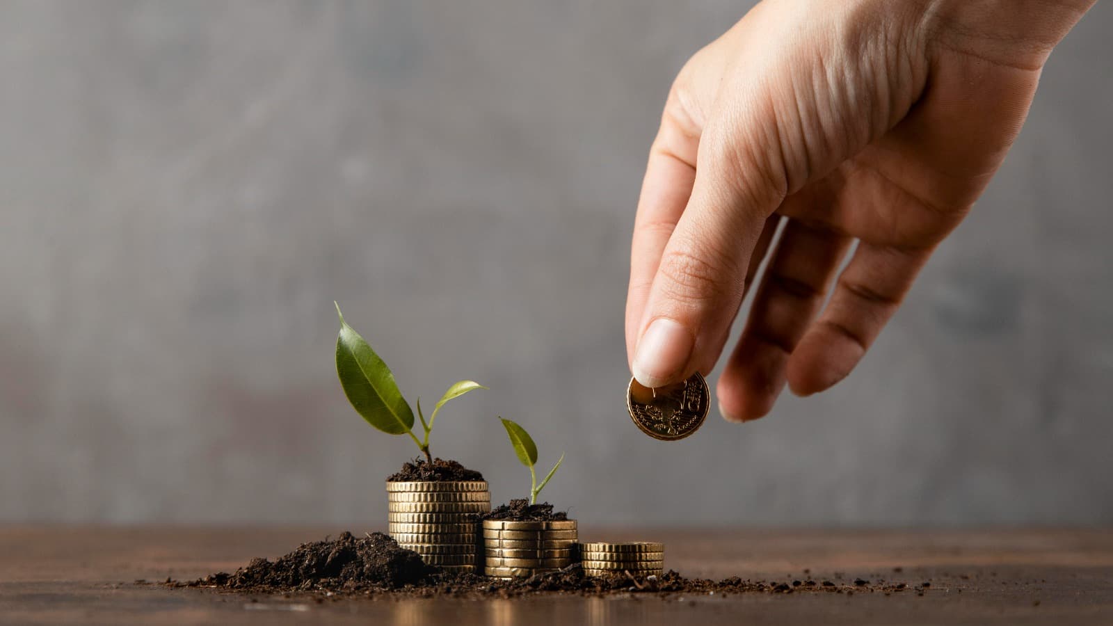 Building wealth through active, principled investment — coins growing with plants